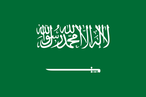 saudia arabia.png