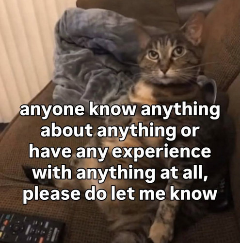 712228203 27364969039857721 4657764404336358697 n.jpg