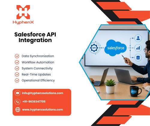 Salesforce API Integration.jpg
