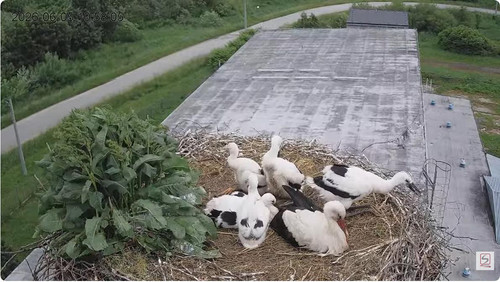MWSnap413.jpg