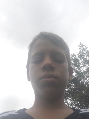 temp.png