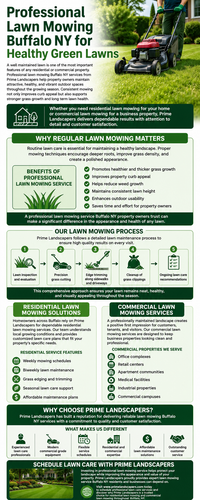 Professional Lawn Mowing Buffalo NY for Healthy Green Lawns.png