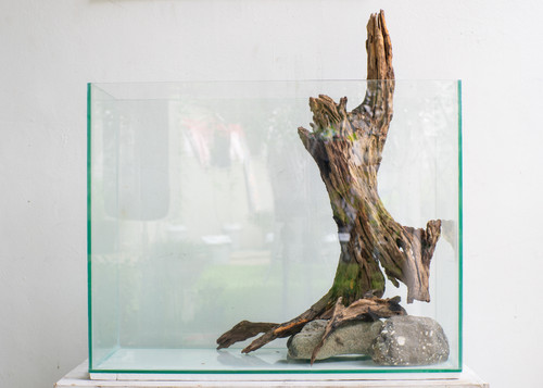 aquarium test.jpg