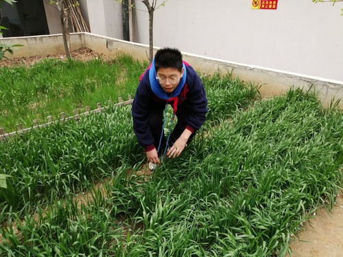 IMG 0678 2.jpg