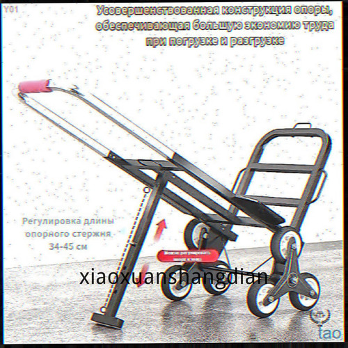 1780819532265.jpg