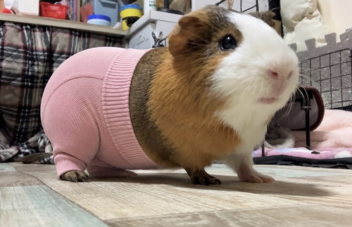 image.jpg