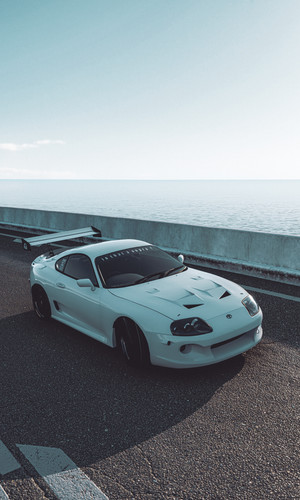 Supra 2.jpg