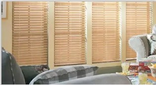 Motorized Window Shades.jpg