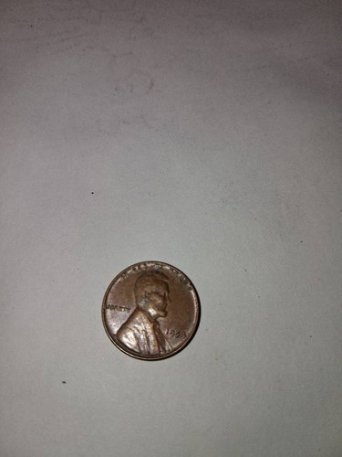 19285fae3517.jpg