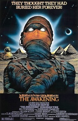Awakeningposter1980.jpg