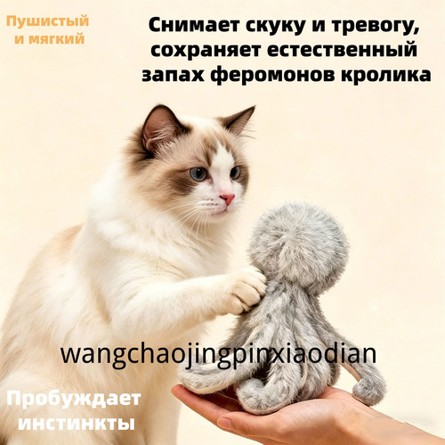 1780738981790.jpg