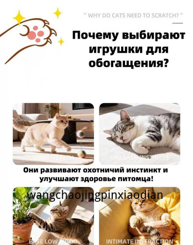1780738989474.jpg
