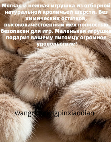 1780738998190.jpg