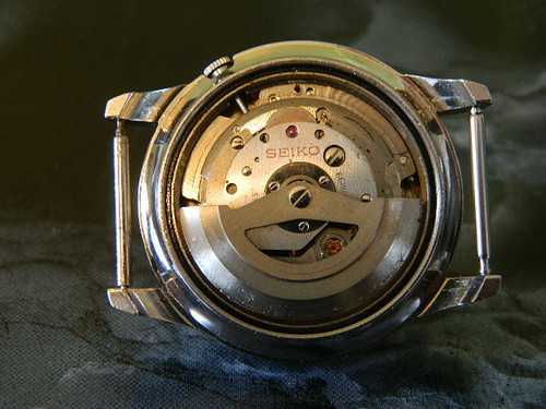 DSCN8284.1