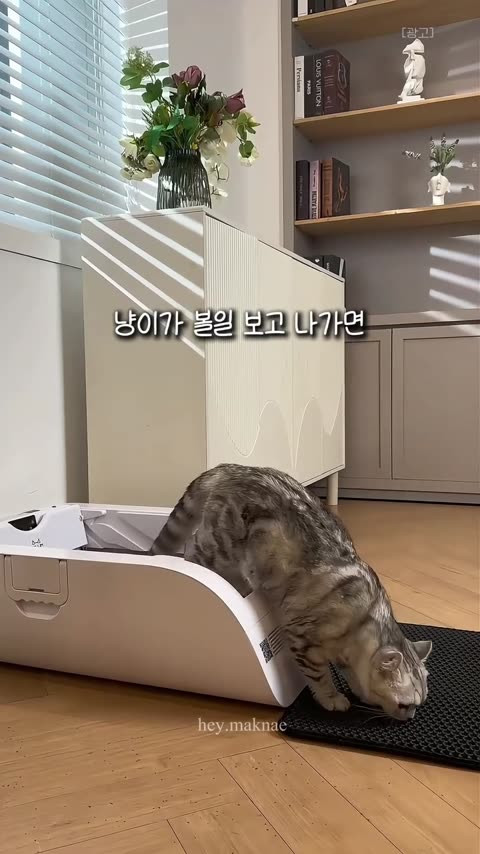 frame 1.jpg