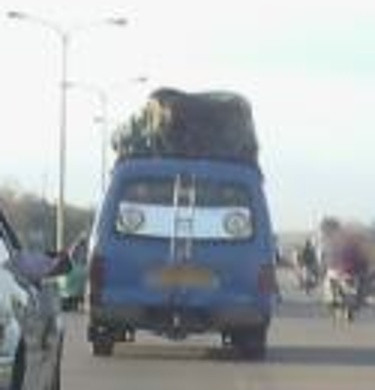 bus.jpg