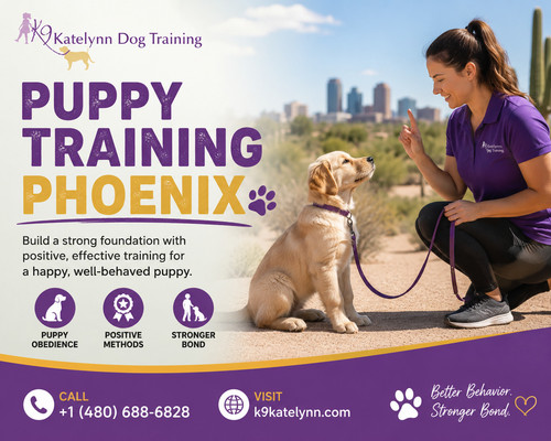 Puppy Training Phoenix K9Katelynn Dog Training Experts.jpg
