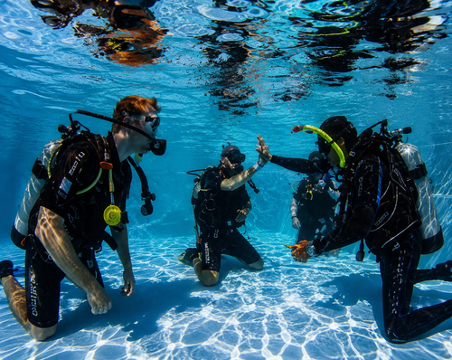 Healthy coral pinnacles and scuba diver underwater