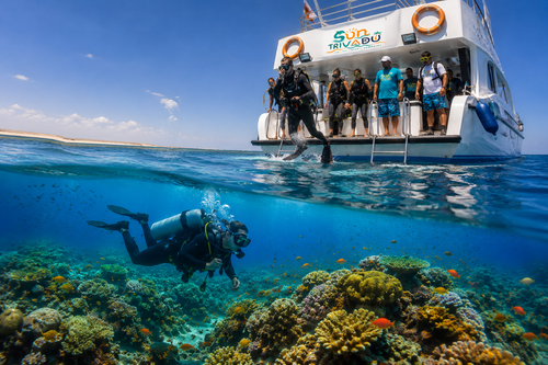 Safari cruise yacht sailing on the deep blue