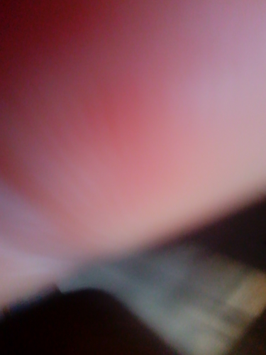 temp.png