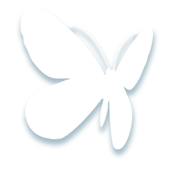 4.png