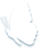 7.png