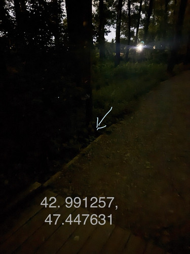 IMG 20260607 025936 2.jpg