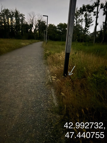 IMG 20260607 025936 5.jpg