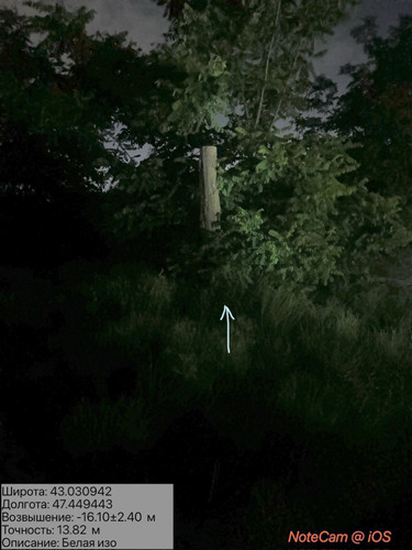 IMG 20260607 025936 15.jpg