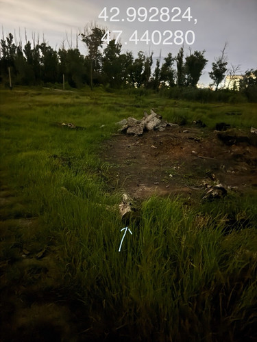 IMG 20260607 025936 6.jpg