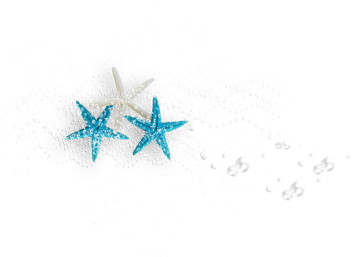 STARS.png