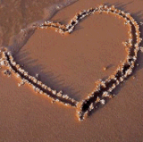 LA PLAYA (1).gif