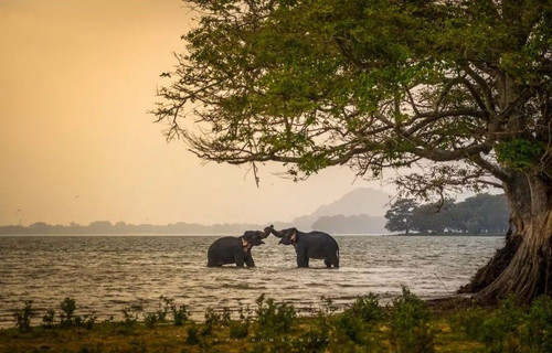 Sri Lanka (3).jpg