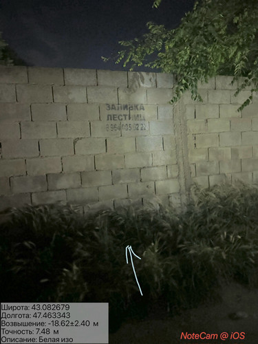 IMG 20260607 024617 4.jpg