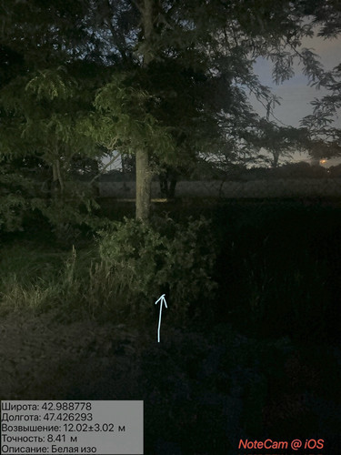 IMG 20260607 024617 15.jpg