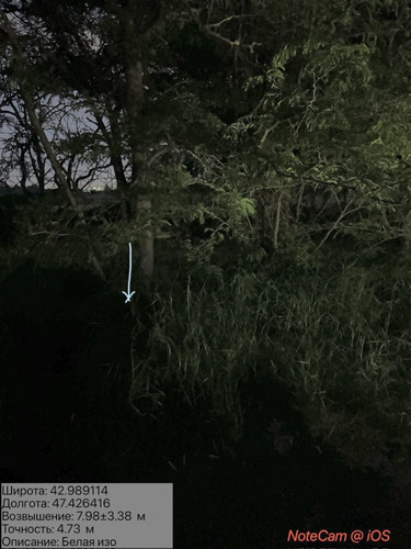 IMG 20260607 024617 16.jpg