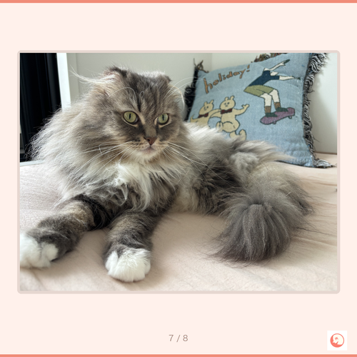 9fb218a89283.png