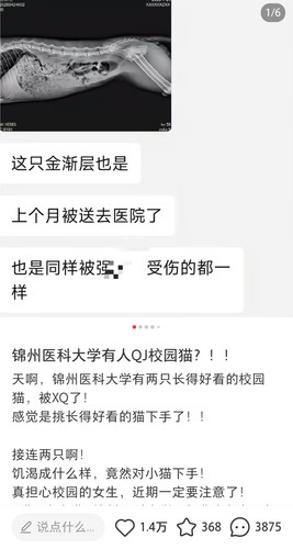 Screenshot 20260607 104147.jpg