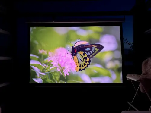 14cec06c5806.webp
