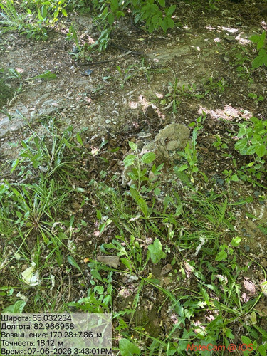 IMG 3221.jpg
