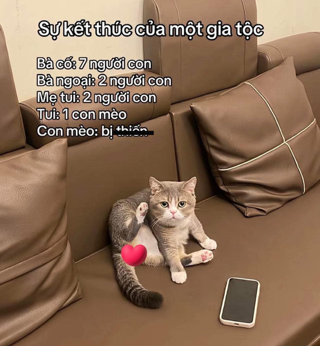 65a53ca80424.jpg