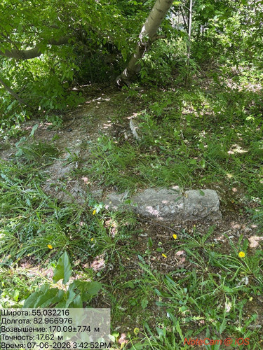 IMG 3218.jpg