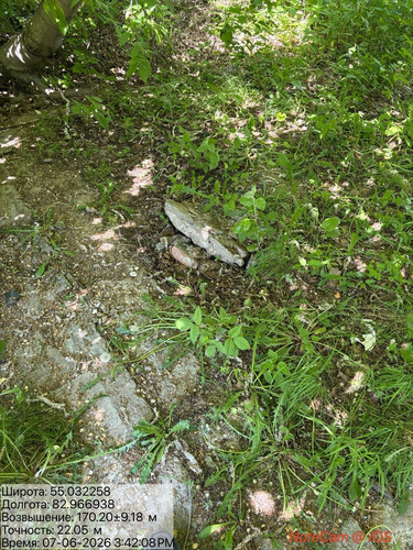 IMG 3216.jpg
