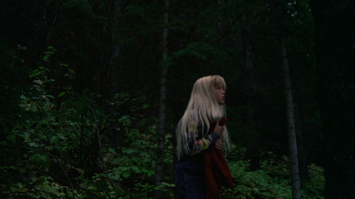 vlcsnap 00004.png