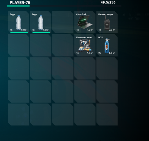 FiveM GTAProcess 1b8S0dX0Z0.png