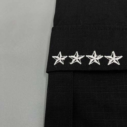 stannie searchapi dahp83t.jpg