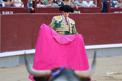 215A0973.jpg