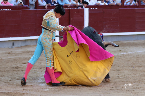 215A1478.jpg