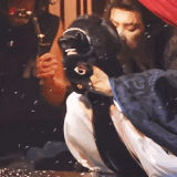 1780780213620.gif