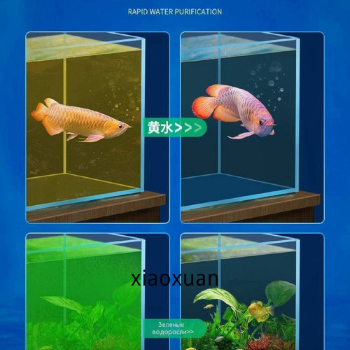 1780764126508.jpg